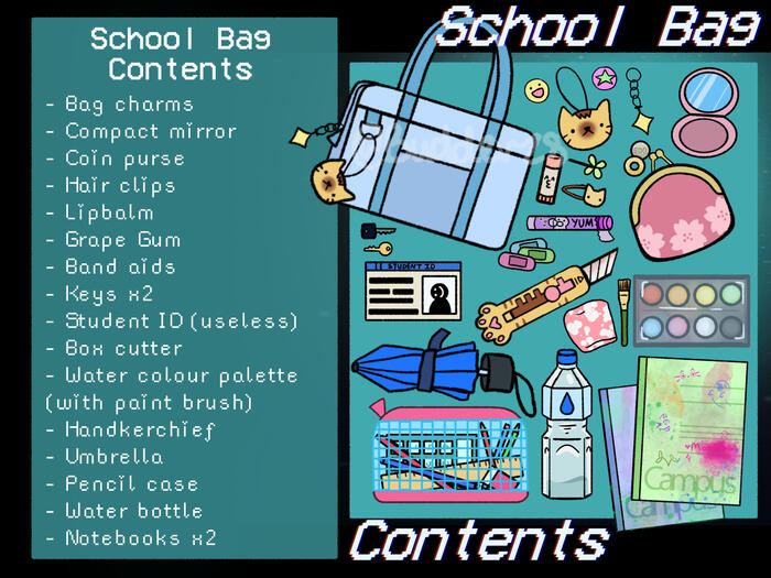 Bag Contents (Terebi)